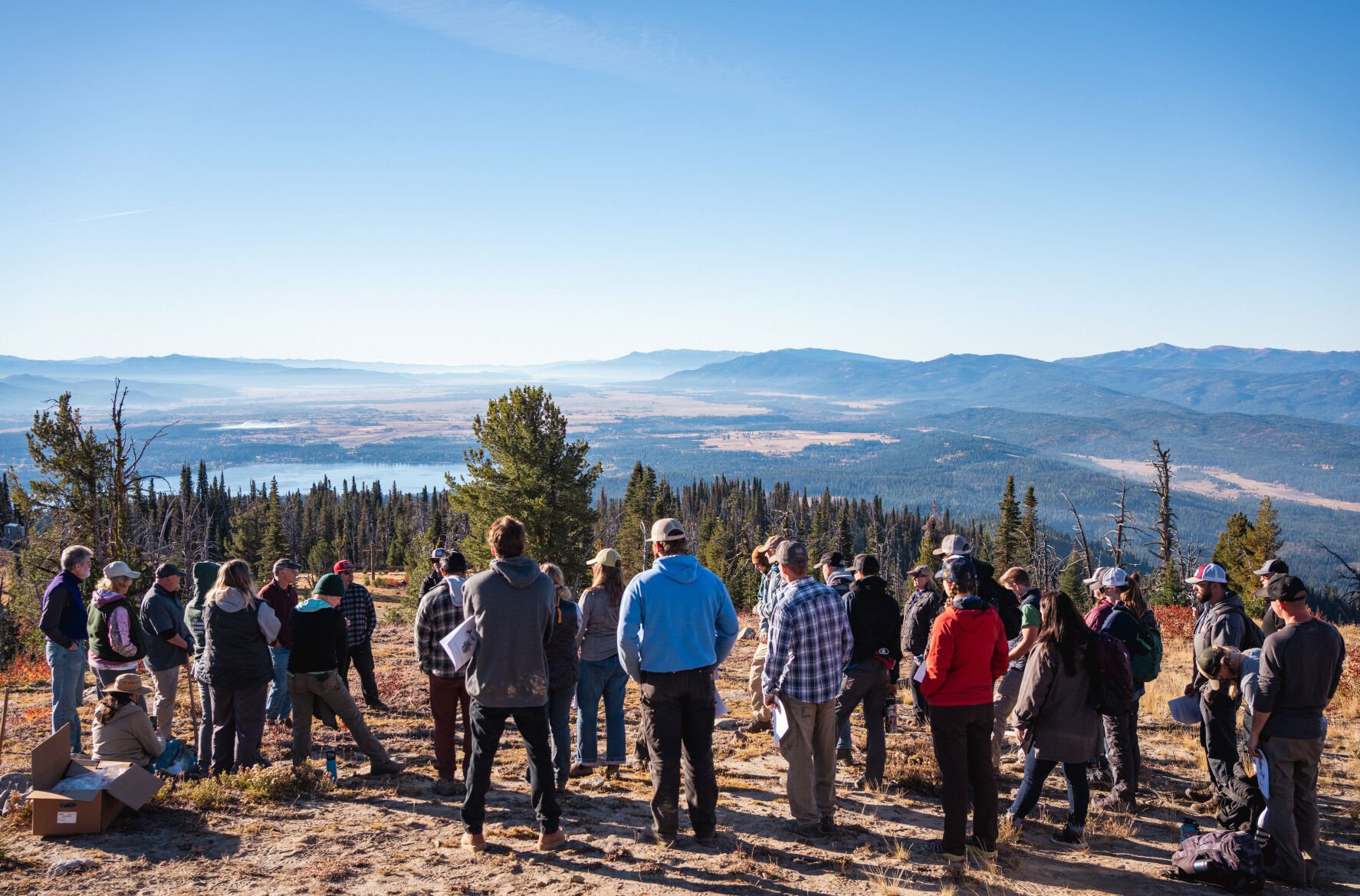 Conservation Efforts Take Root at Top of Brundage Mountain