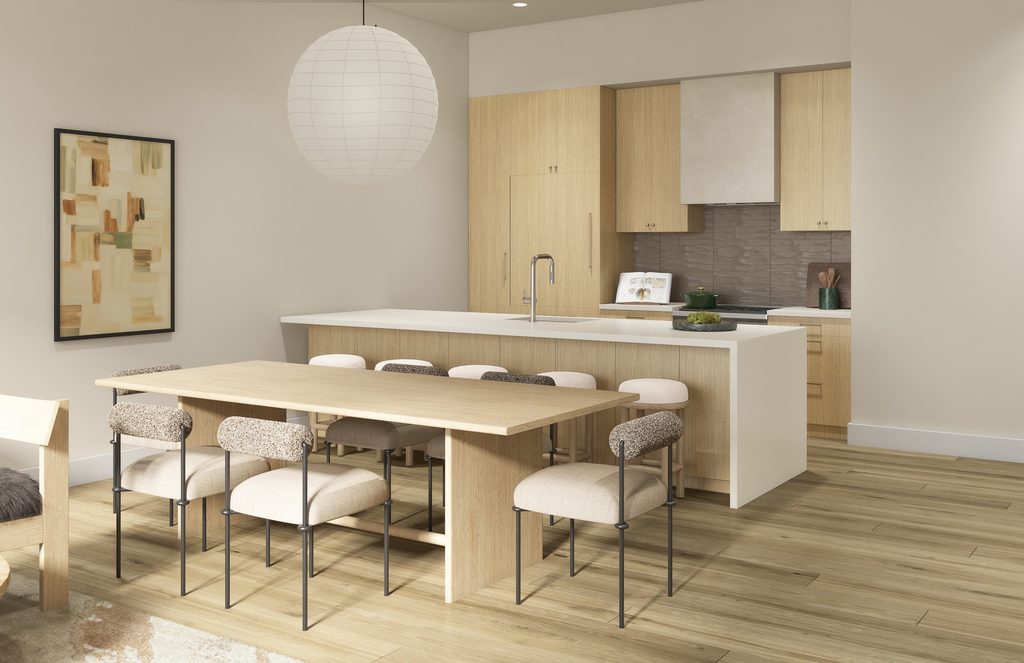 an interior kitchen shot of the flats